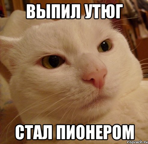 выпил утюг стал пионером