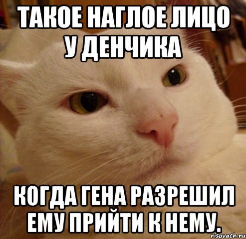 такое наглое лицо у денчика когда гена разрешил ему прийти к нему.