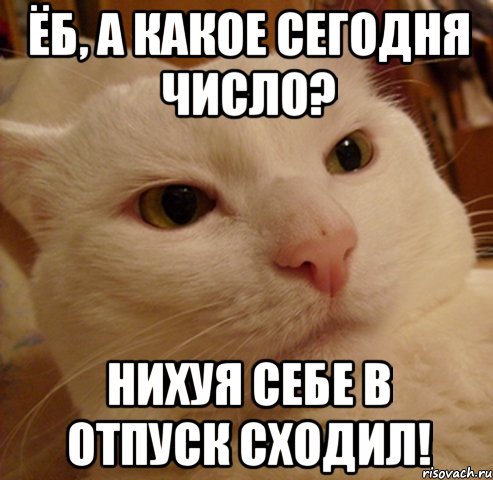 ёб, а какое сегодня число? нихуя себе в отпуск сходил!