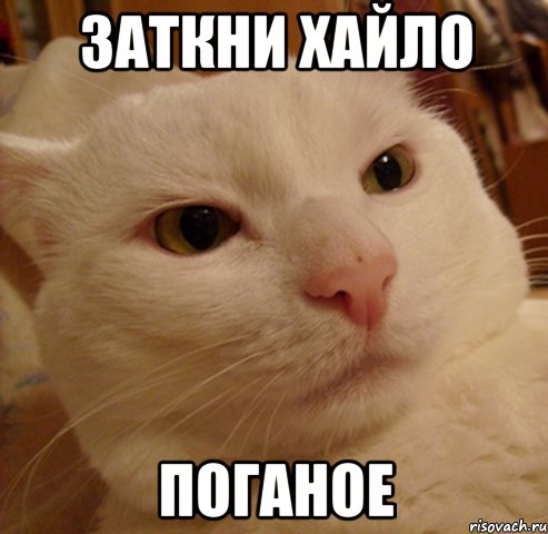 заткни хайло поганое