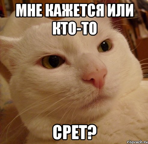 мне кажется или кто-то срет?