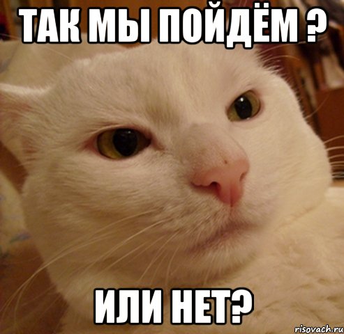 так мы пойдём ? или нет?