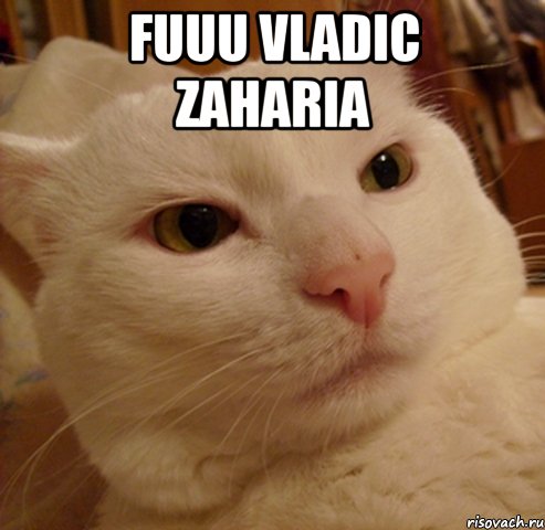 fuuu vladic zaharia 