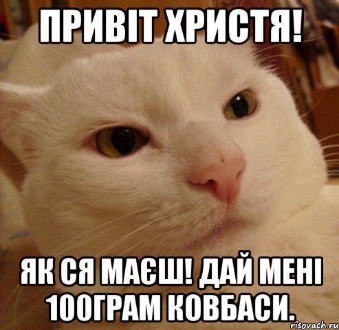 привіт христя! як ся маєш! дай мені 100грам ковбаси.