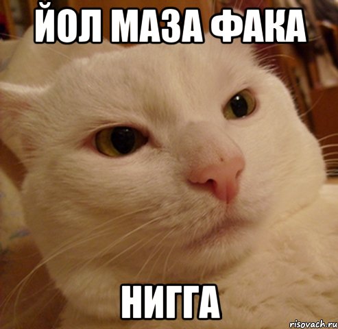 йол маза фака нигга