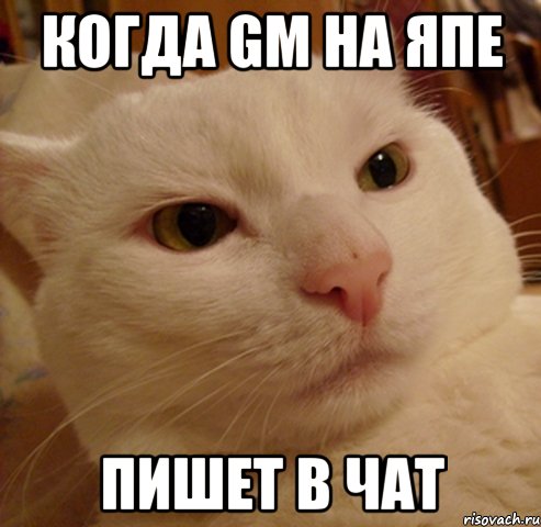 когда gm на япе пишет в чат