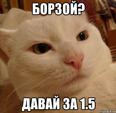 борзой? давай за 1.5