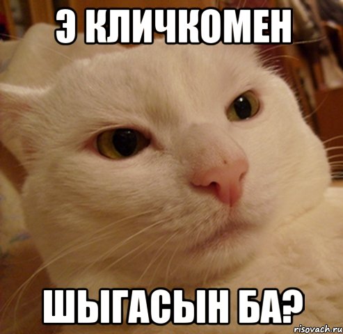 э кличкомен шыгасын ба?