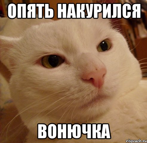 опять накурился вонючка