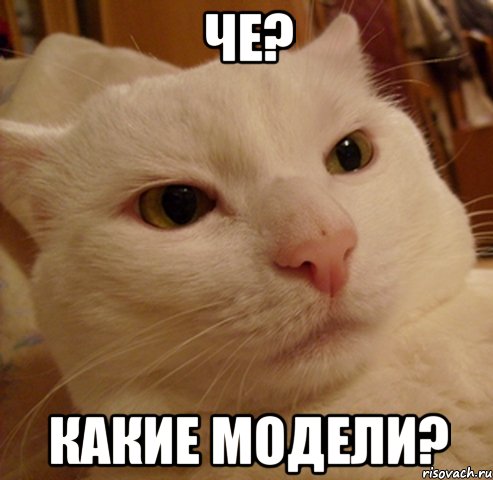 че? какие модели?, Мем Дерзкий котэ