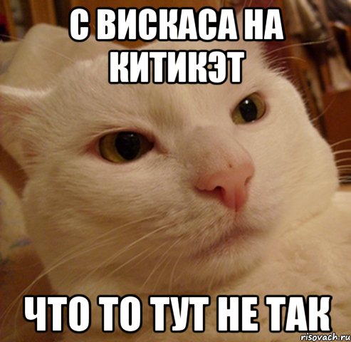 С вискаса на китикэт Что то тут не так
