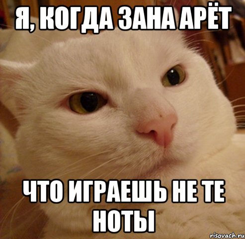я, когда Зана арёт что играешь не те ноты