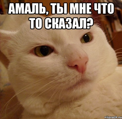Амаль, ты мне что то сказал? 