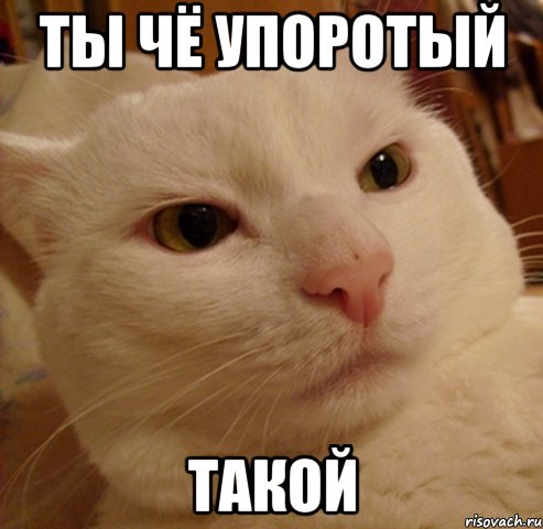 ты чё упоротый такой