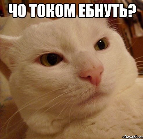 Чо током ебнуть? 