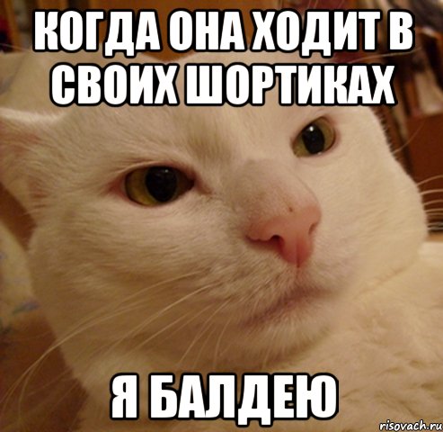 когда она ходит в своих шортиках я балдею