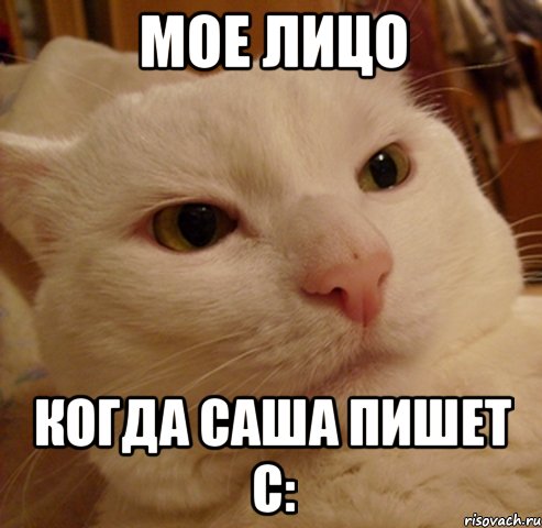 мое лицо когда Саша пишет с: