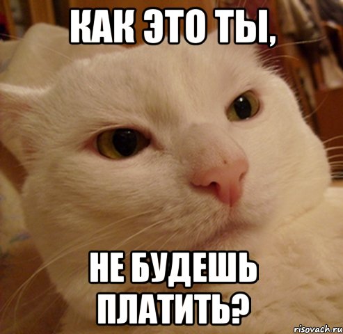 Как это ты, не будешь платить?