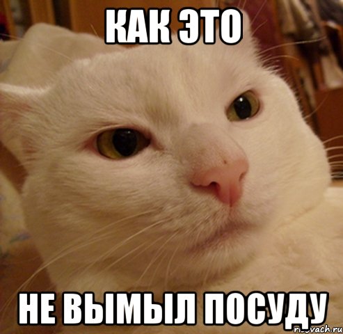 как это Не вымыл посуду