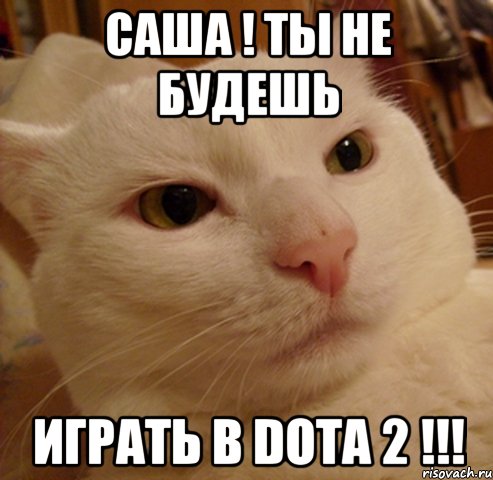 САША ! ты не будешь играть в DOTA 2 !!!
