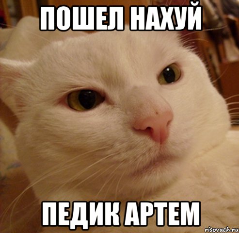 Пошел нахуй Педик Артем