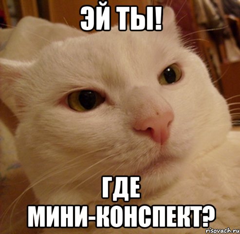 Эй ты! Где мини-конспект?