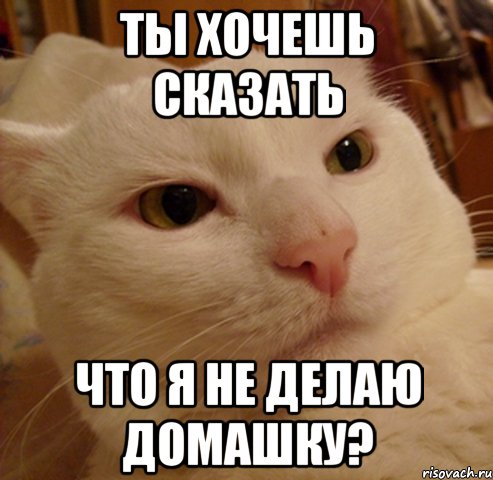 ты хочешь сказать что я не делаю домашку?