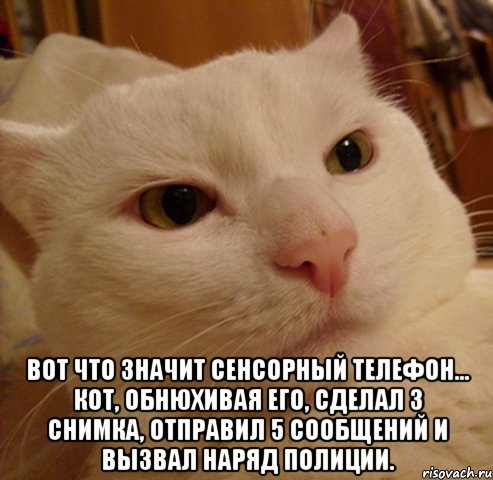  Вот что значит сенсорный телефон... Кот, обнюхивая его, сделал 3 снимка, отправил 5 сообщений и вызвал наряд полиции.