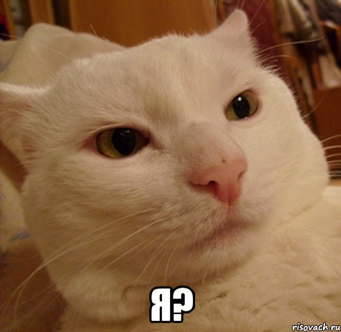  я?