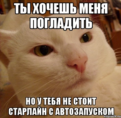 Ты хочешь меня погладить но у тебя не стоит СтарЛайн с автозапуском