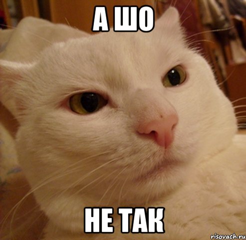 а шо не так