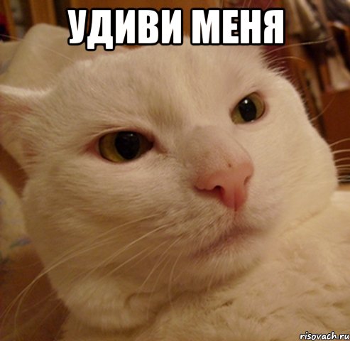 удиви меня 