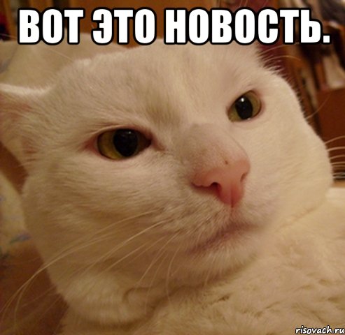 Вот это новость. 