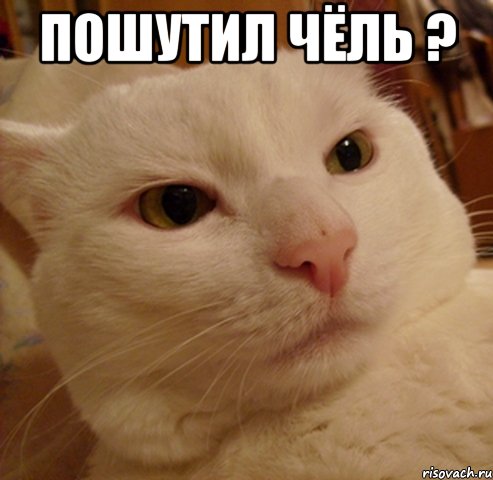 Пошутил чёль ? 