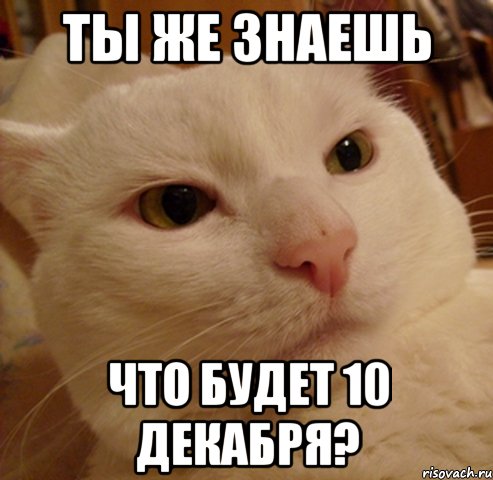 ты же знаешь что будет 10 декабря?