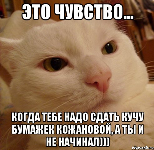 это чувство... когда тебе надо сдать кучу бумажек Кожановой, а ты и не начинал)))