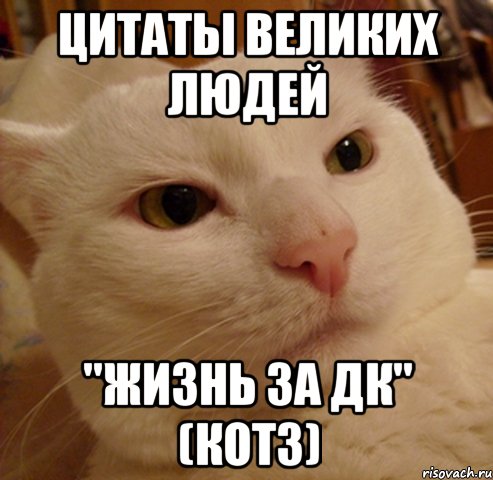 Цитаты великих людей "ЖИЗНЬ ЗА ДК" (КОТЗ)