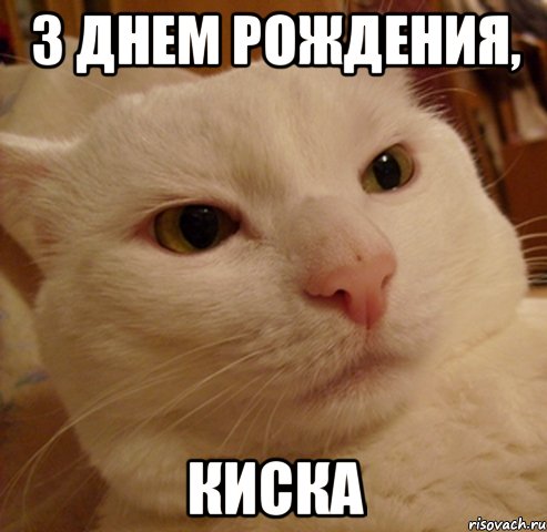 З ДНЕМ РОЖДЕНИЯ, КИСКА