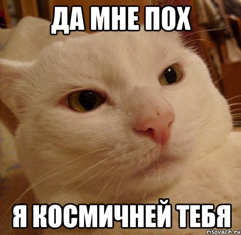 ДА МНЕ ПОХ Я КОСМИЧНЕЙ ТЕБЯ
