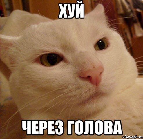 Хуй через голова