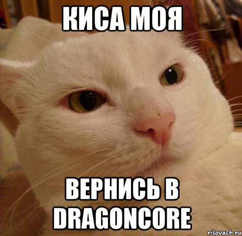 Киса моя вернись в Dragoncore