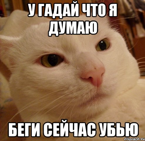 у гадай что я думаю беги сейчас убью