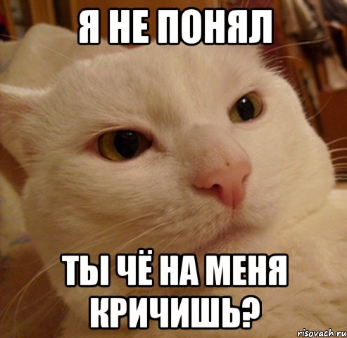 я не понял ты чё на меня кричишь?