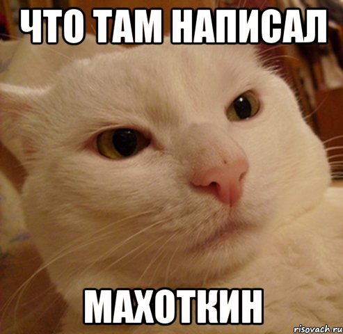 ЧТО ТАМ НАПИСАЛ МАХОТКИН