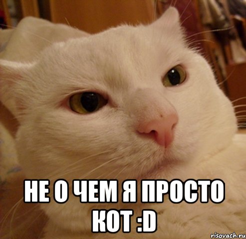  не о чем я просто кот :D