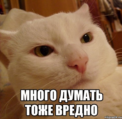 много думать тоже вредно