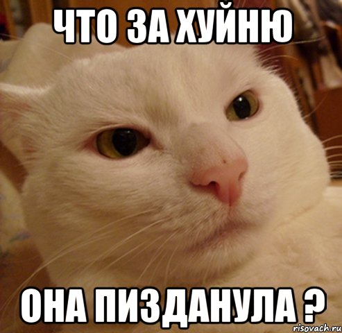 ЧТО ЗА ХУЙНЮ ОНА ПИЗДАНУЛА ?