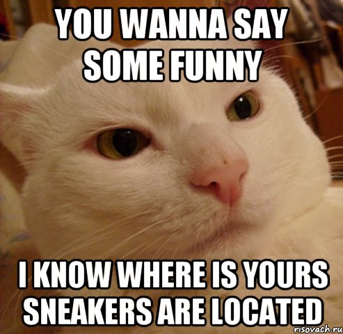 You wanna say some funny I know where is yours sneakers are located