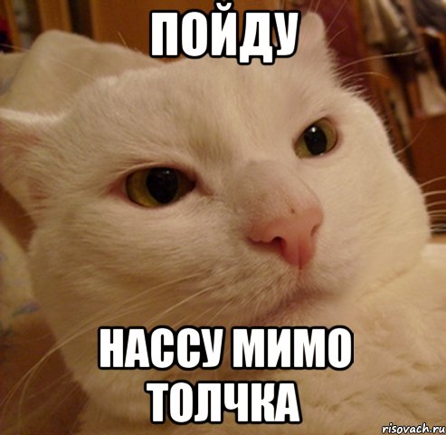 пойду нассу мимо толчка