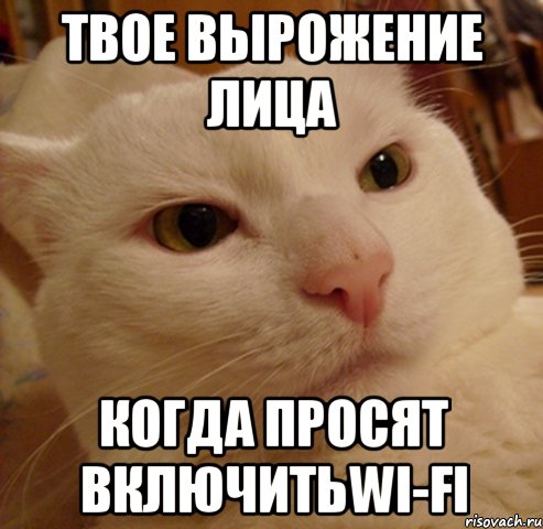 Твое вырожение лица Когда просят включитьwi-fi